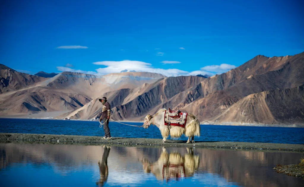 Explore Ladakh Tour Packages