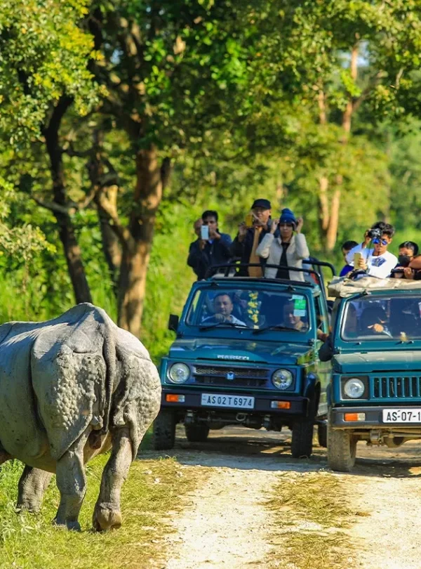 kaziranga national park