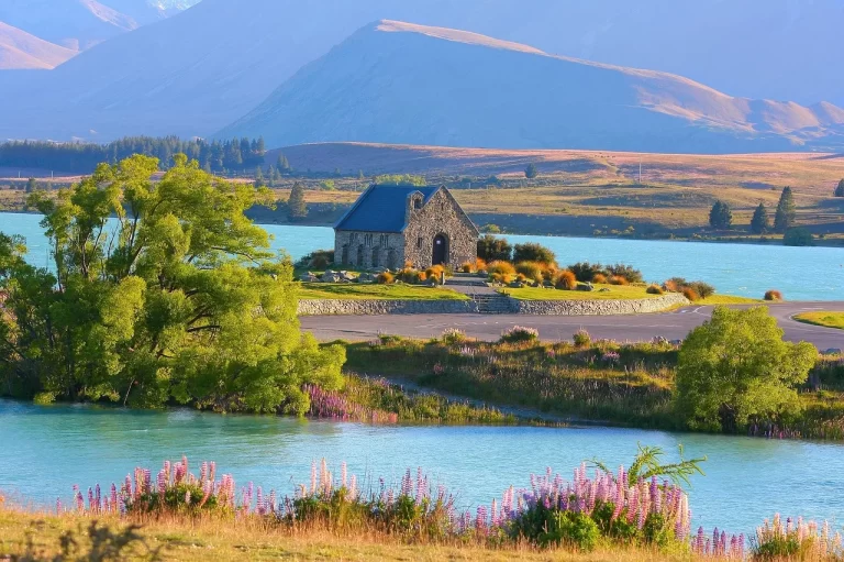 New Zealand Family Trip