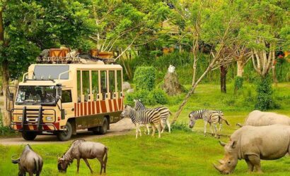 Vinpearl Safari Phu Quoc