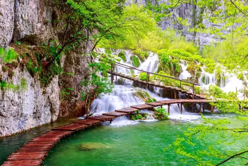 Croatia Group Tour from India